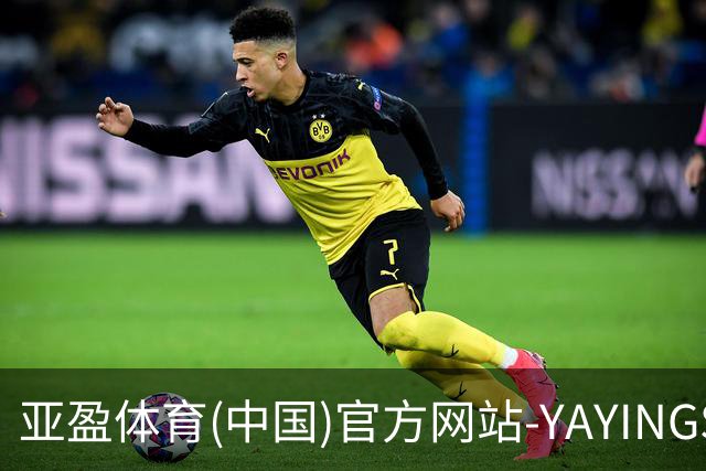 亚盈体育(中国)官方网站-YAYINGSPORTS